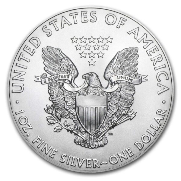 American Eagle 1 oz 2019 reverse 101munten