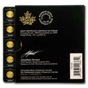 1 Maple Leaf Gram Gouden Munt Met Certificaat 101munten