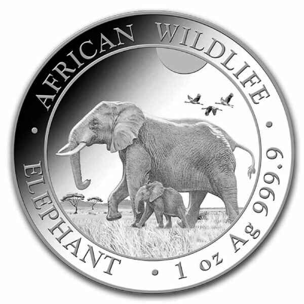 somalische olifant 1 oz 2022