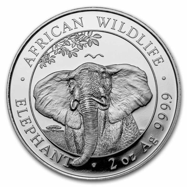 somalische olifant 2 oz 2021