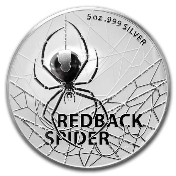 redback spider