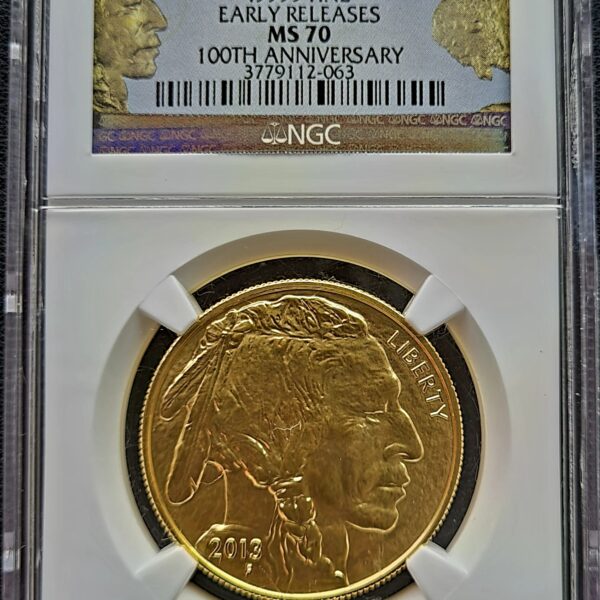 American Buffalo 1 oz 2013 NGC MS70