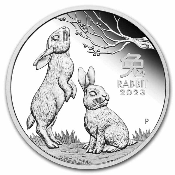 year of the rabbit