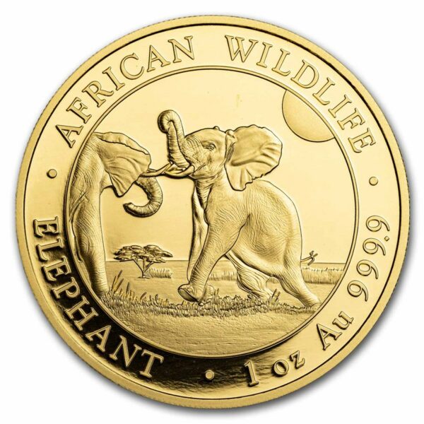 Gouden Somalische Olifant 1 oz 2024