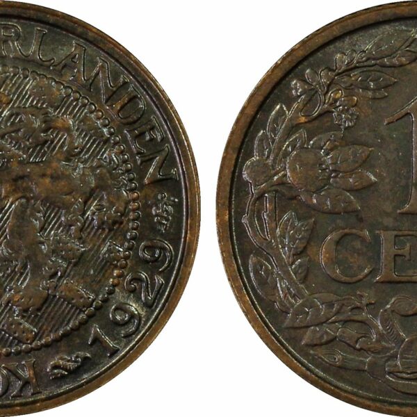 1 cent 1929 MS62 PCGS Blackened