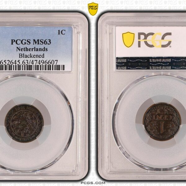 1 cent 1929 MS63 PCGS Blackened