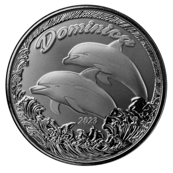 dominica dolphin