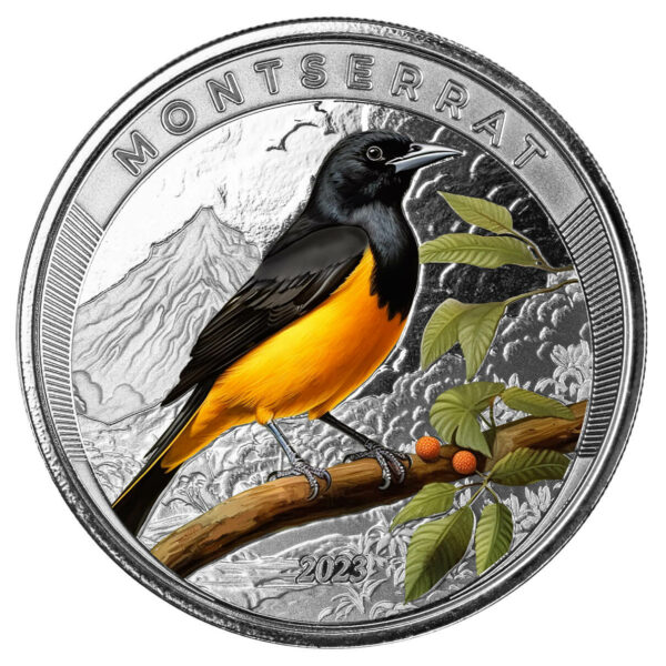 Oriole Bird coloured