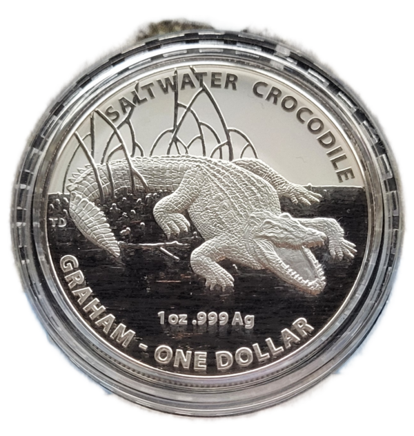 saltwater crocodiles set 2