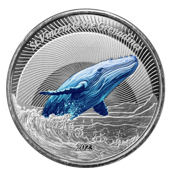 humpback whale