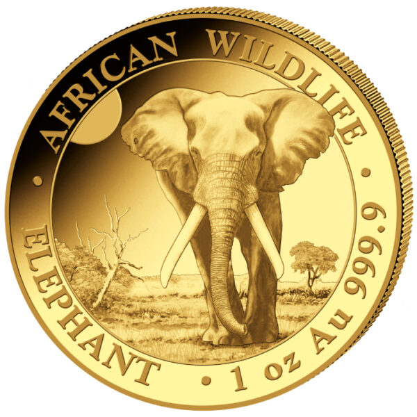 Gouden Somalische Olifant 1 oz 2025