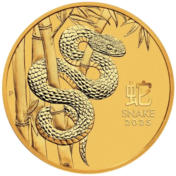 1_20 oz Year of the Snake 2025 goud